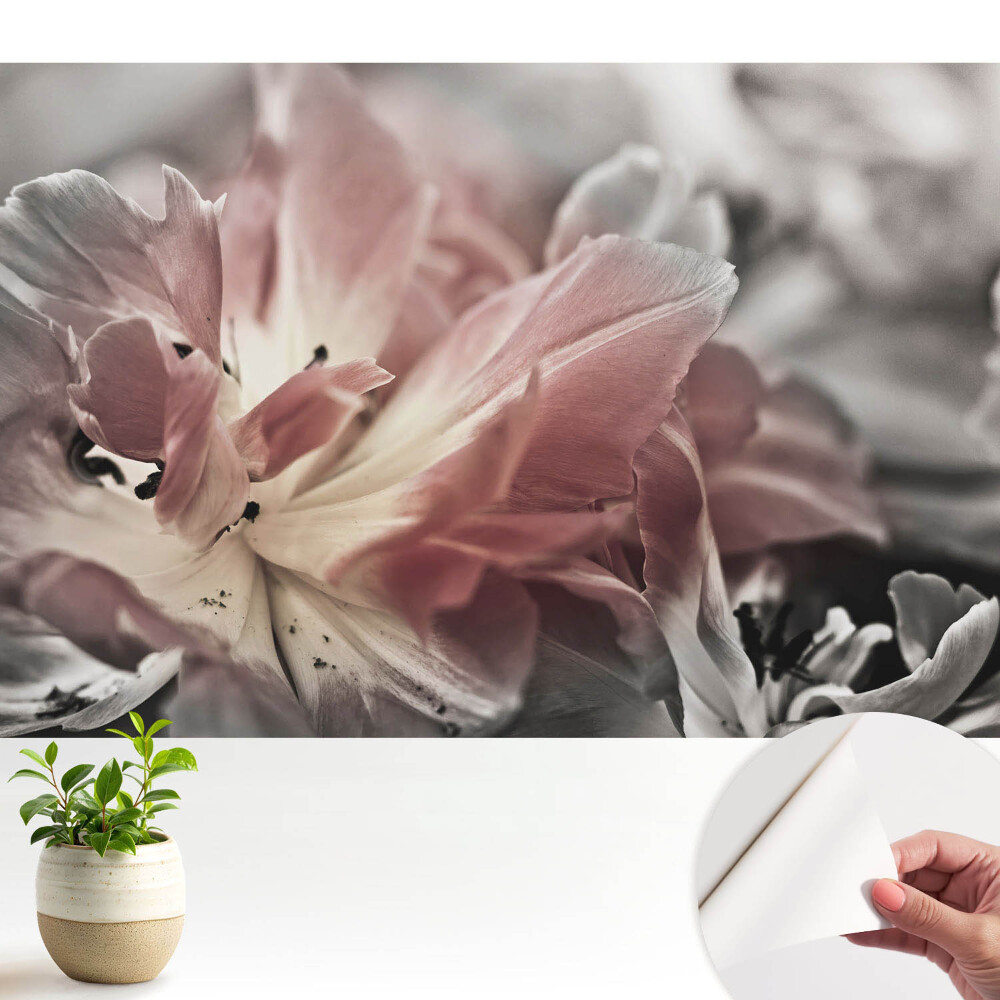 Tapeta Detail jemných okvětních lístků