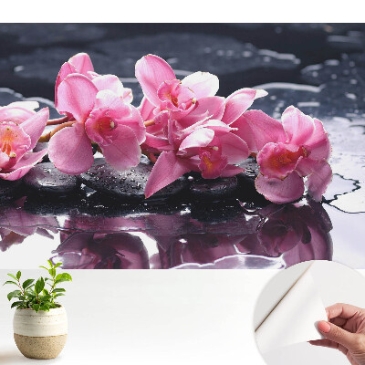 Tapeta Růžové orchideje na kamenech