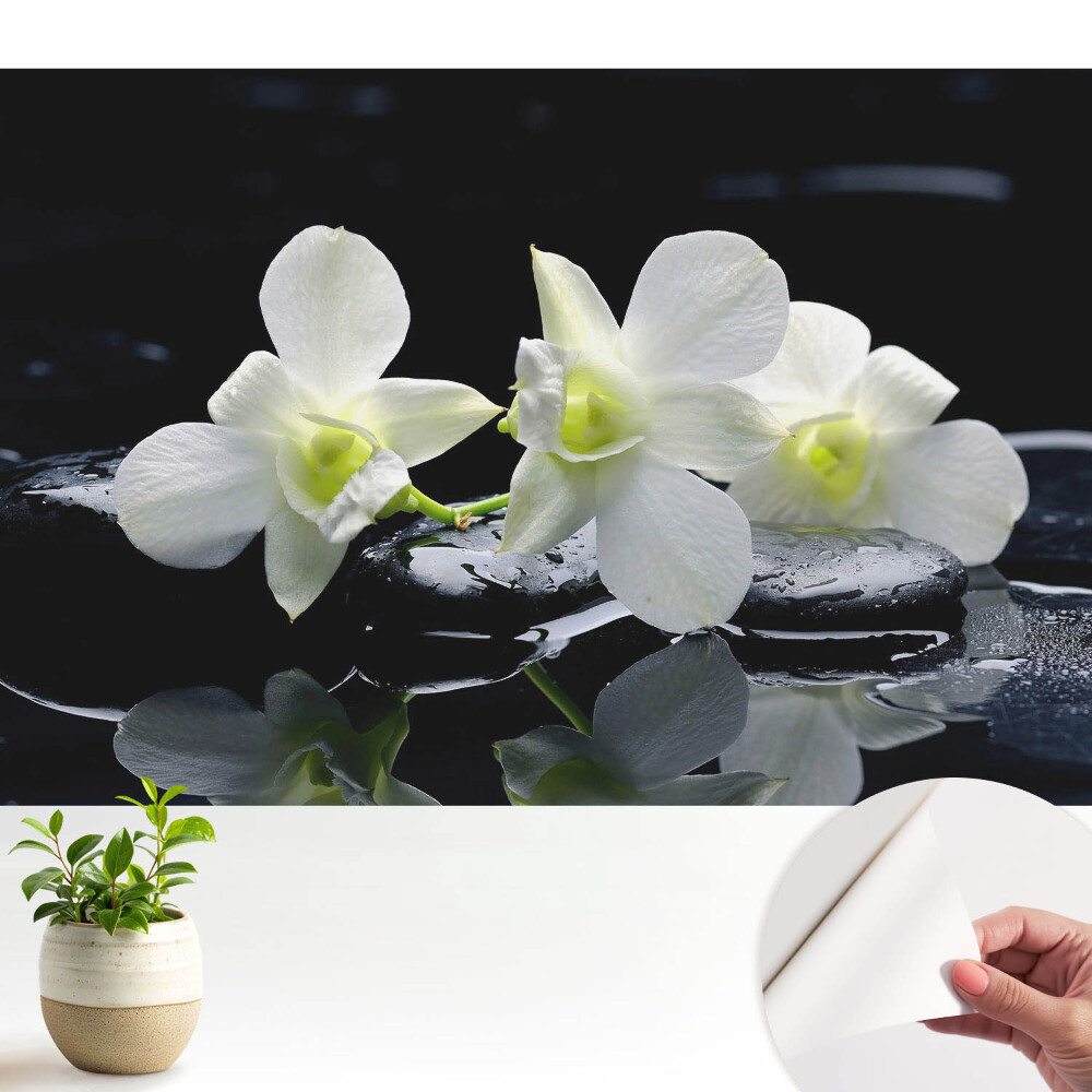 Tapeta na zeď Bílé orchideje na kamenech.