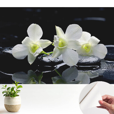 Tapeta na zeď s motivem bílých orchidejí na kamenech