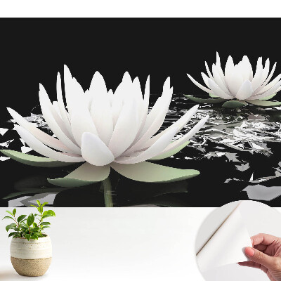 Tapeta Elegantní lekníny na tmavém pozadí