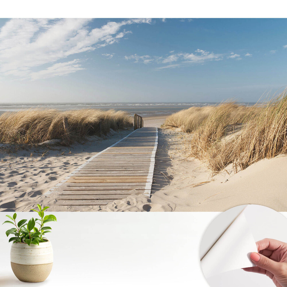 Tapeta na zeď Přímořská cesta mezi dunami