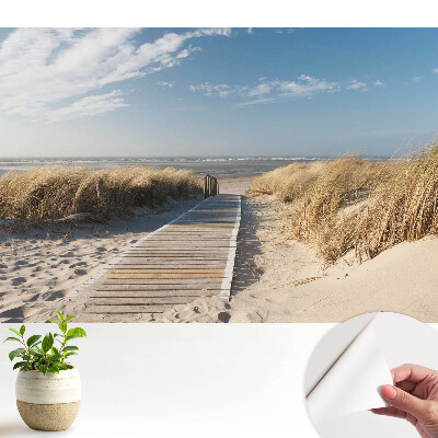 Tapeta na zeď Přímořská cesta mezi dunami
