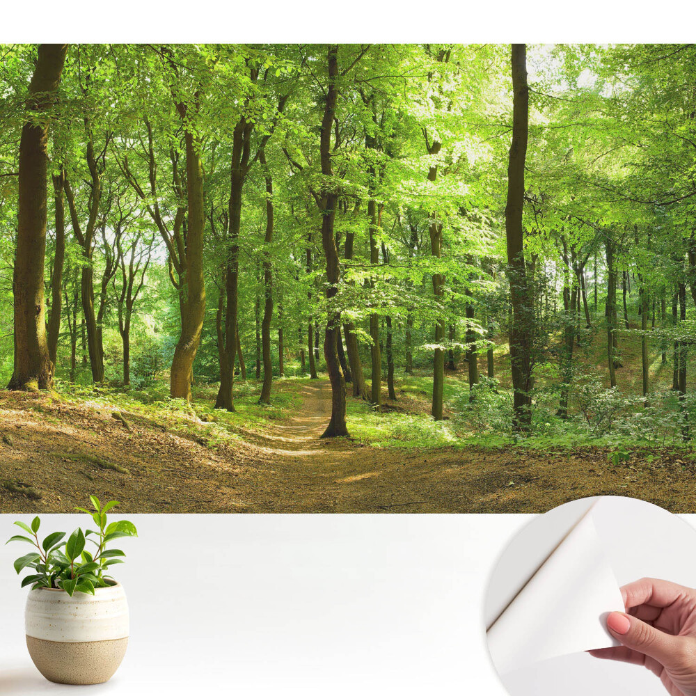 Tapeta Čerstvý zelený les