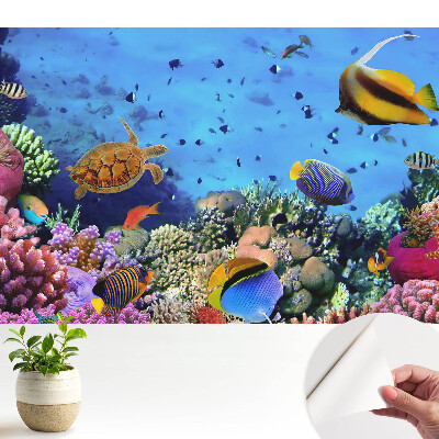 Tapeta na zeď Podvodní svět plný barev