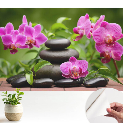 Tapeta na zeď s motivem květin a kamenů v harmonickém aranžmá