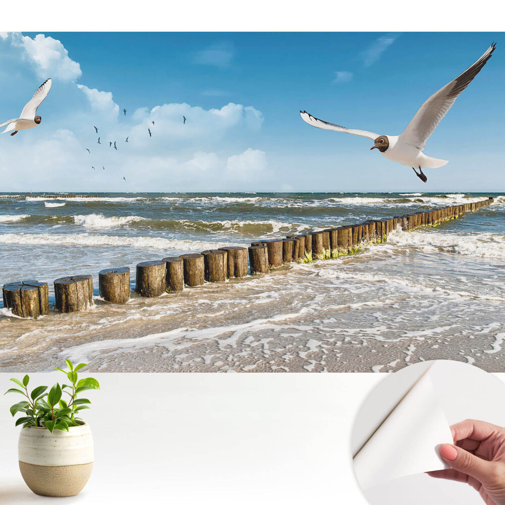 Tapeta Rackové nad mořem