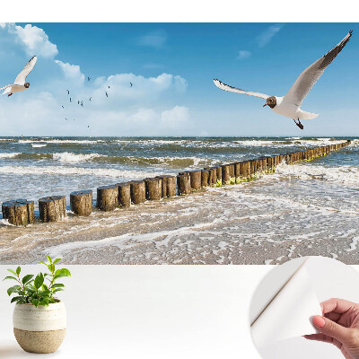 Tapeta Rackové nad mořem