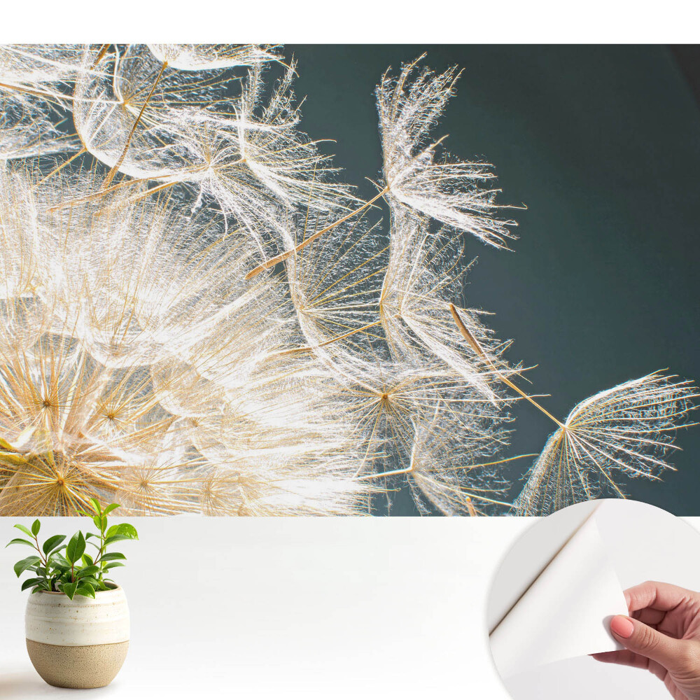 Tapeta na zeď Éterická semínka křehké pampelišky