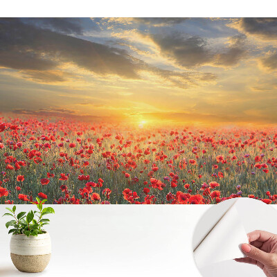 Tapeta do obyvaku Ranní pole maků, úchvatný západ slunce