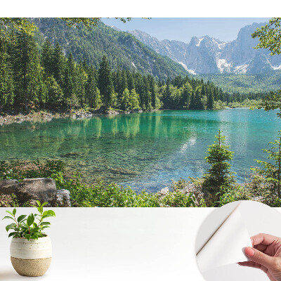 Tapeta Přirozená krása a harmonie