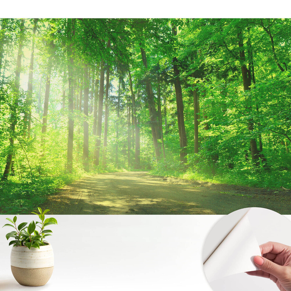 Tapeta Zelený lesní slunce a mír