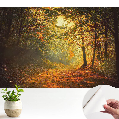 Tapeta do obyvaku Kouzlo podzimního lesa