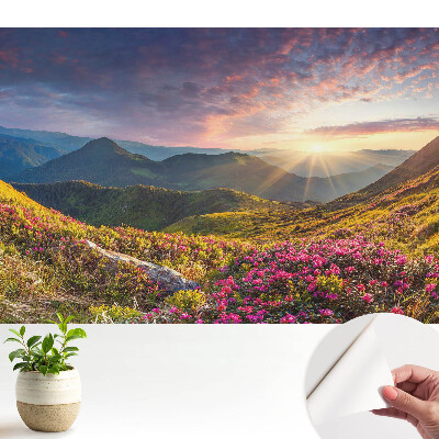 Tapeta na zeď Horská krajina zalitá sluncem