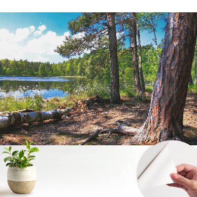 Tapeta Lesní krajina u jezera, přírodní klid