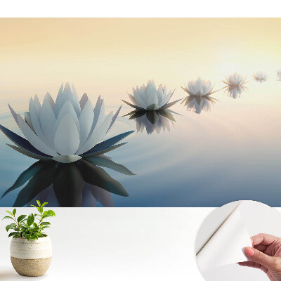 Tapeta na zeď Lotosy na vodě