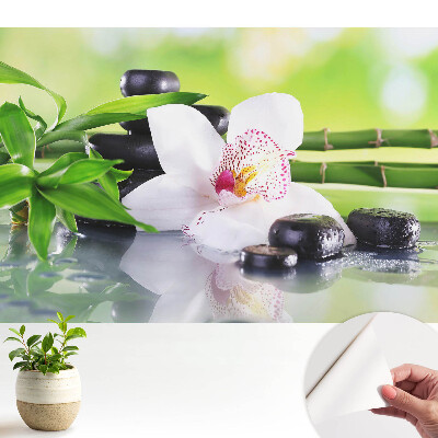 Tapeta Orchidej a kameny obklopené bambusem