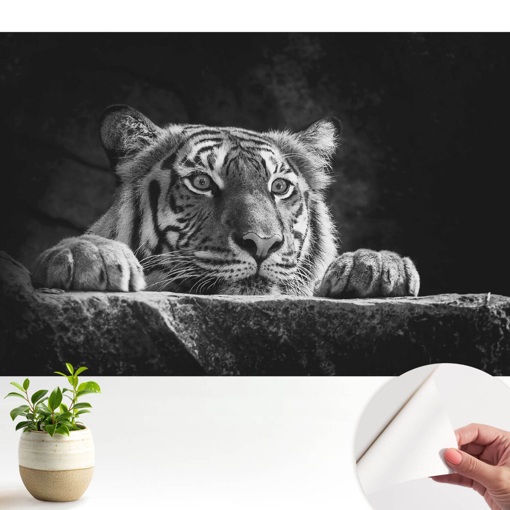 Tapeta Tygr v černé a bílé