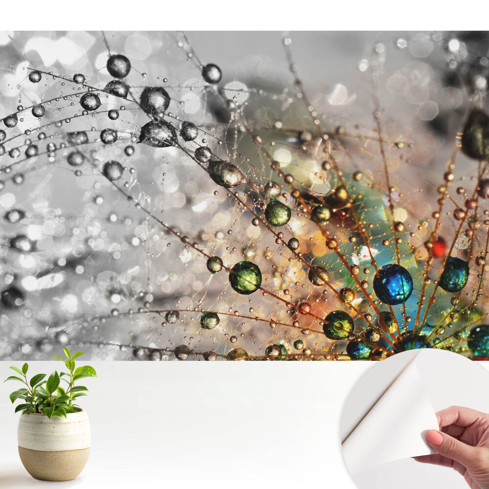 Tapeta na zeď Barvy kapek na pavučině