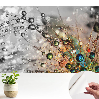 Tapeta na zeď Barvy kapek na pavučině