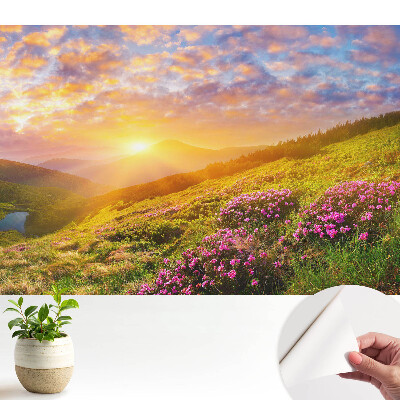 Tapeta na zeď Květiny v horách při západu slunce