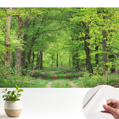 Tapeta Harmonická scenérie zeleného lesa