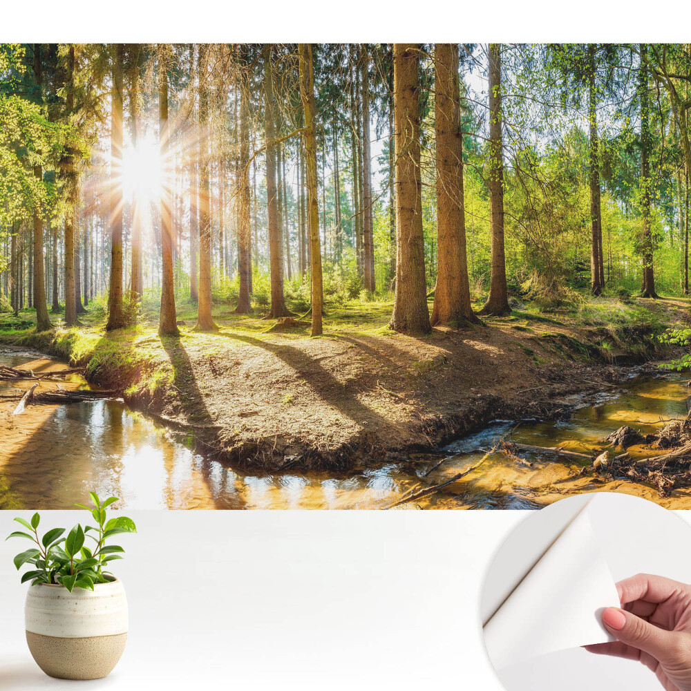 Tapeta na zeď Zářivé slunce v lesní krajině