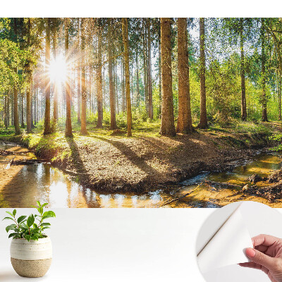 Tapeta na zeď Zářivé slunce v lesní krajině