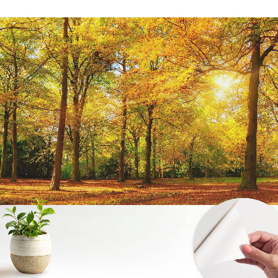 Tapeta Podzimní panorama lesa plného barevného listí