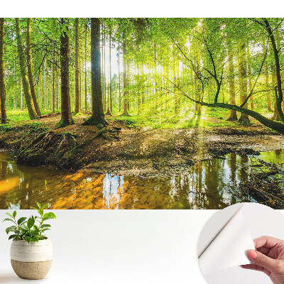 Tapeta Lesní klid, světlo, potok