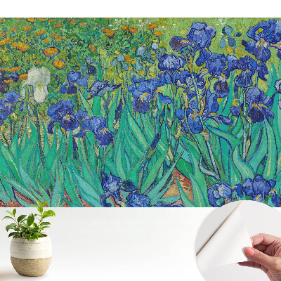 Tapeta Fialové kosatce v zelené zahradě