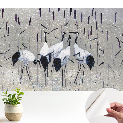 Tapeta do obyvaku Elegantní jeřábi mezi trávou