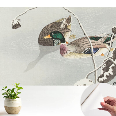 Tapeta na zeď Dvě kachny na vodě v klasickém stylu