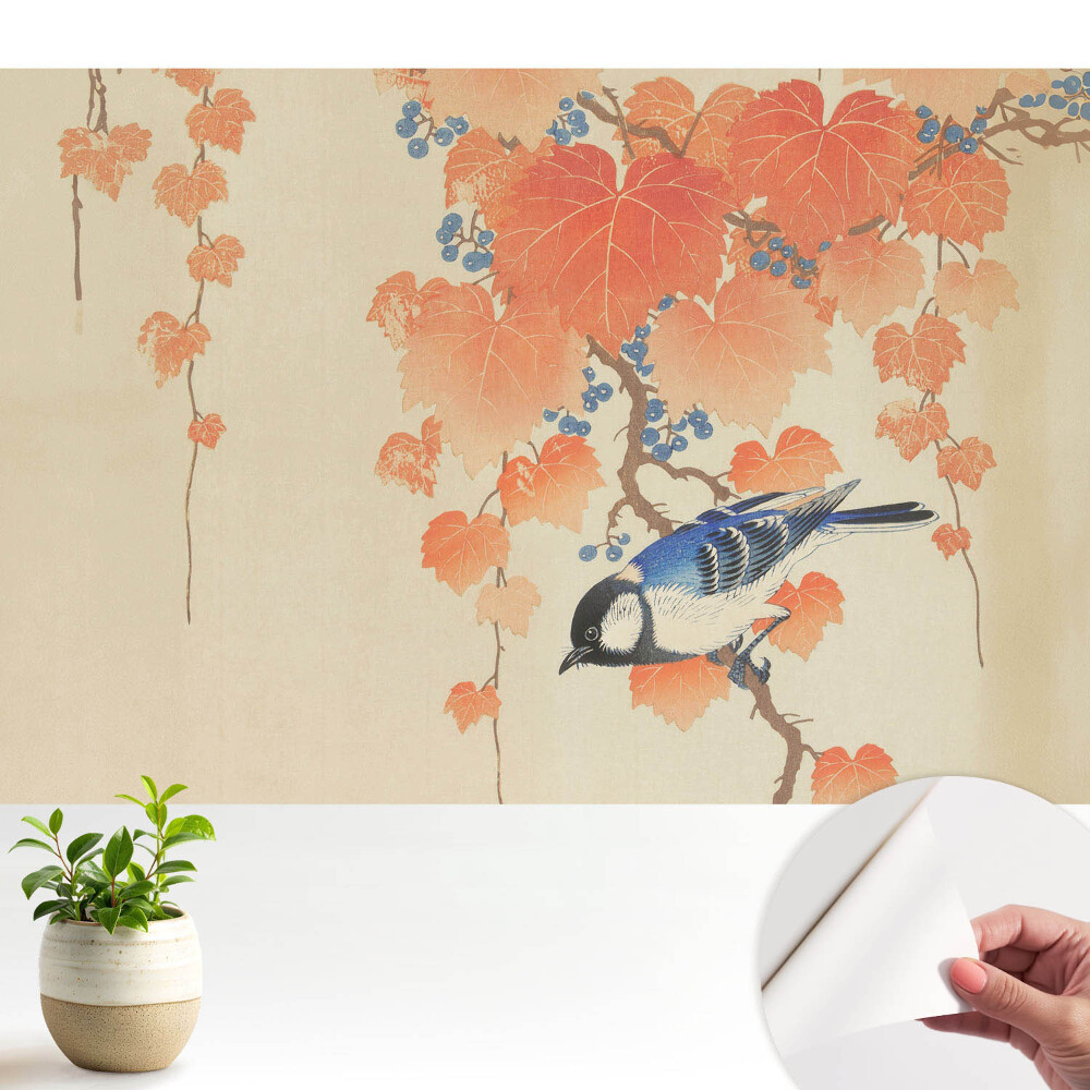 Tapeta na zeď Pták na větvi vinné révy s bobulemi