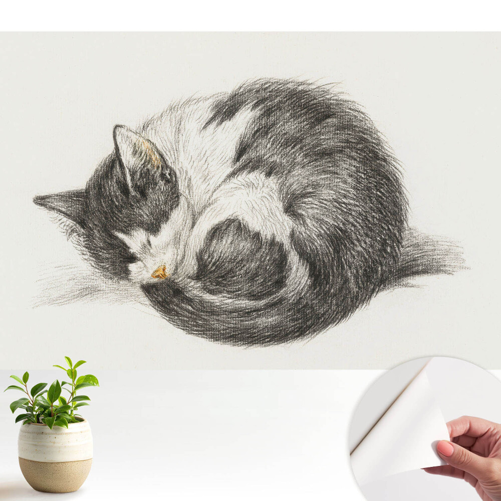 Tapeta do obyvaku Spící kotě centrální ilustrace