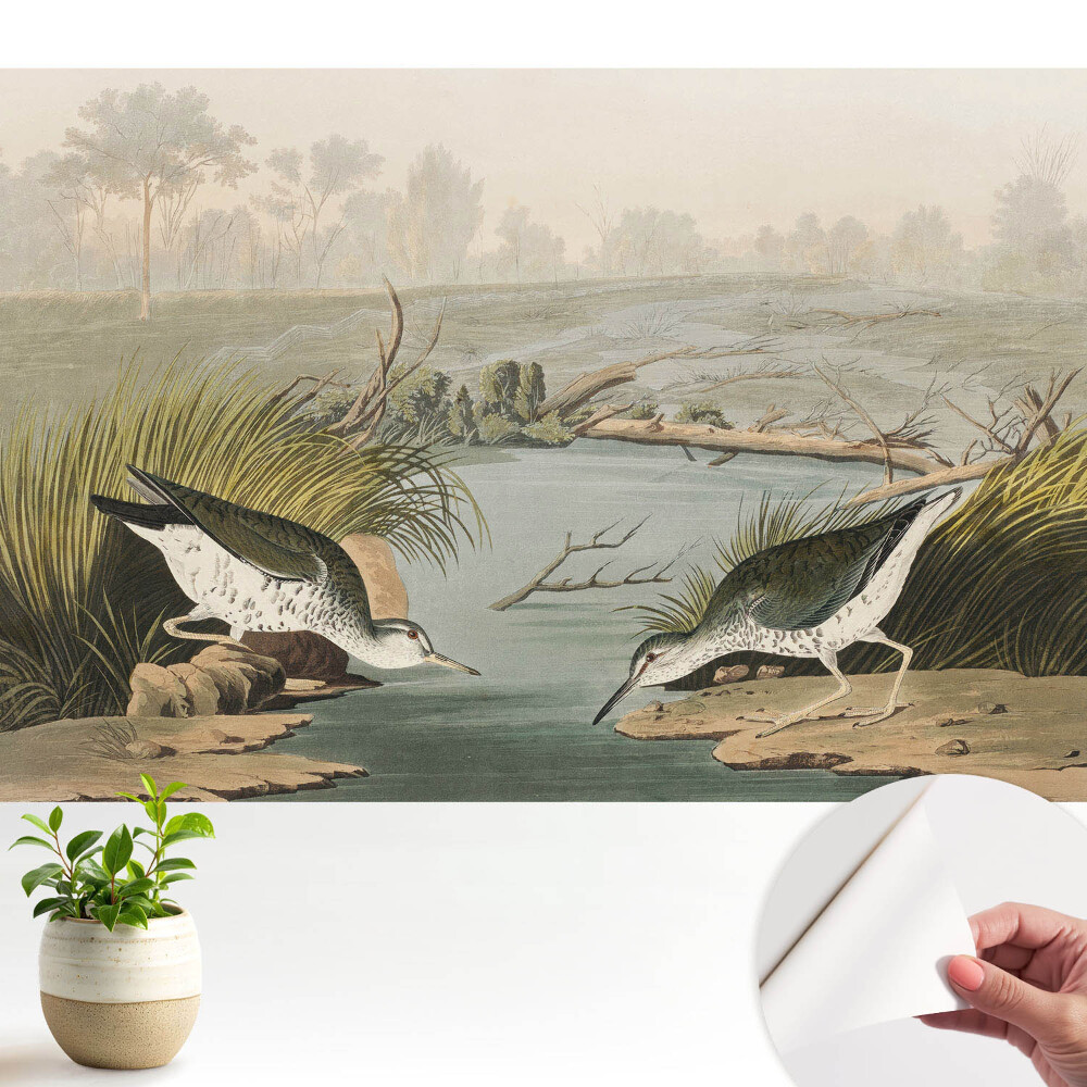 Tapeta Ptáci u jezera, harmonie přírody