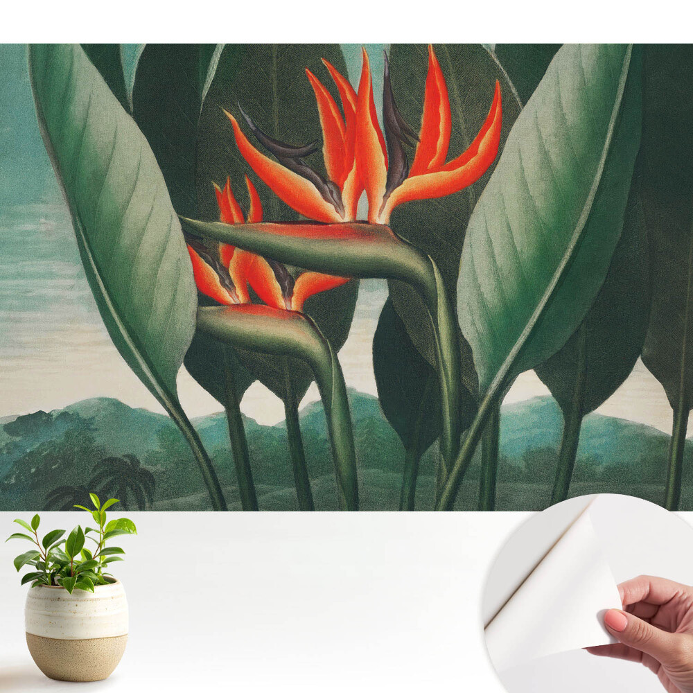 Tapeta Exotické rostliny na zeleném pozadí