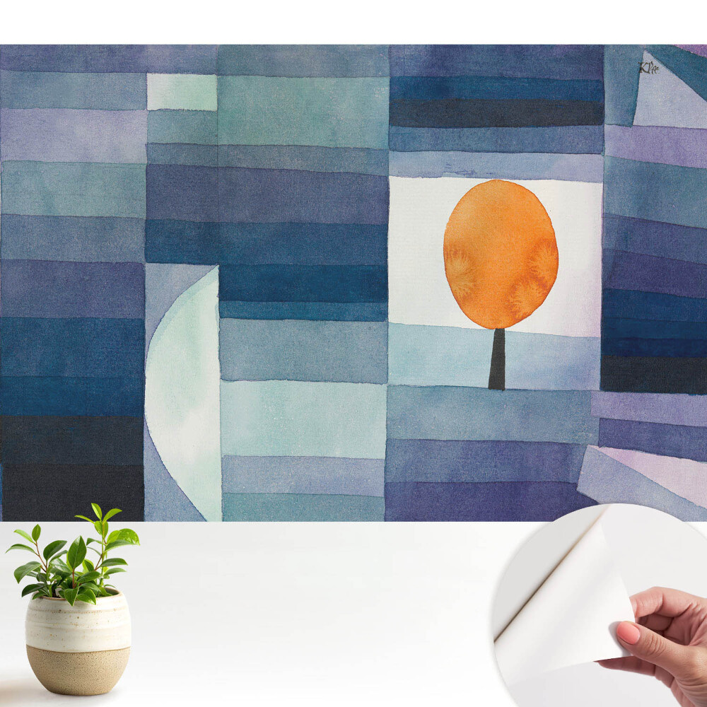 Tapeta Pomerančovník na modrém pozadí