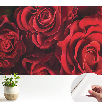 Tapeta do obyvaku Harmonicky elegantní červené růže