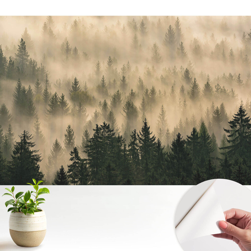 Tapeta Les v ranní mlze