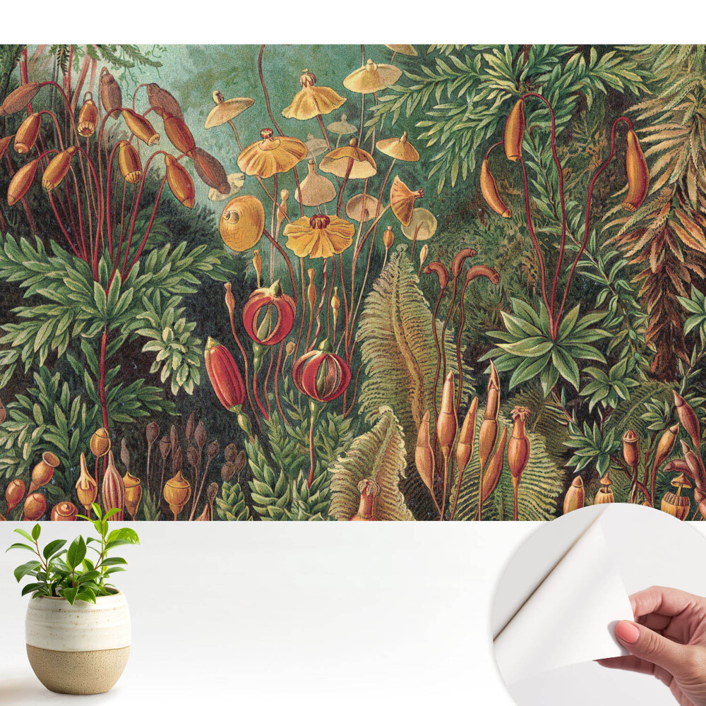 Tapeta do obyvaku Exotická vegetace v harmonické kompozici