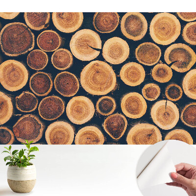 Tapeta na zeď Rustikální dřevěná přírodní symetrie