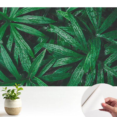 Tapeta s detailem listů