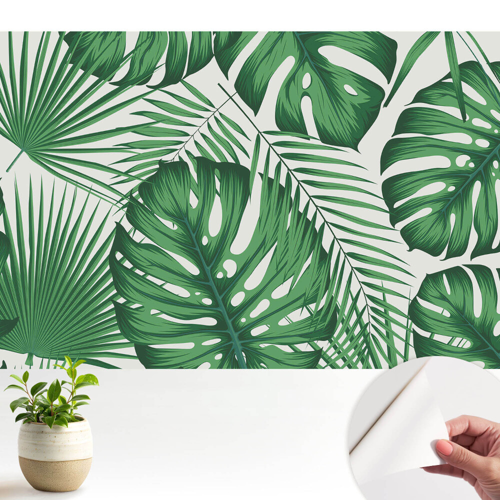 Tapeta na zeď Zelené tropické listy harmonie přírody