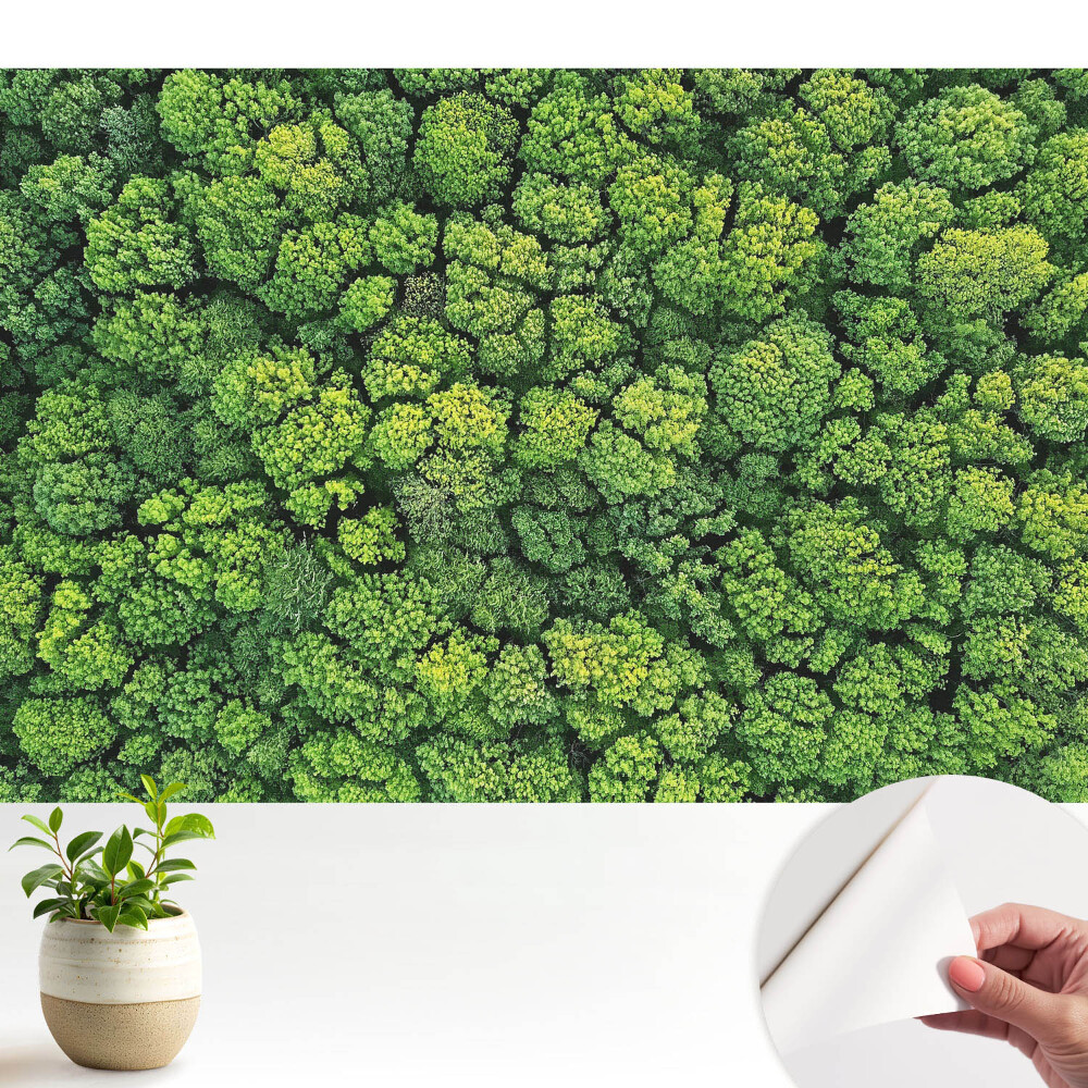 Tapeta na zeď Zelený les shora