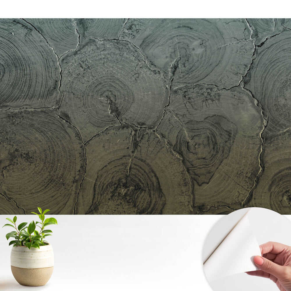 Tapeta do obyvaku Klasický vzor šedého dřeva