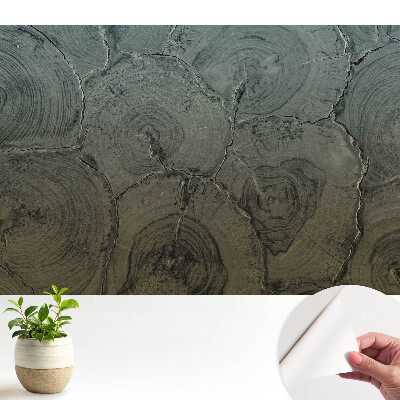 Tapeta do obyvaku Klasický vzor šedého dřeva