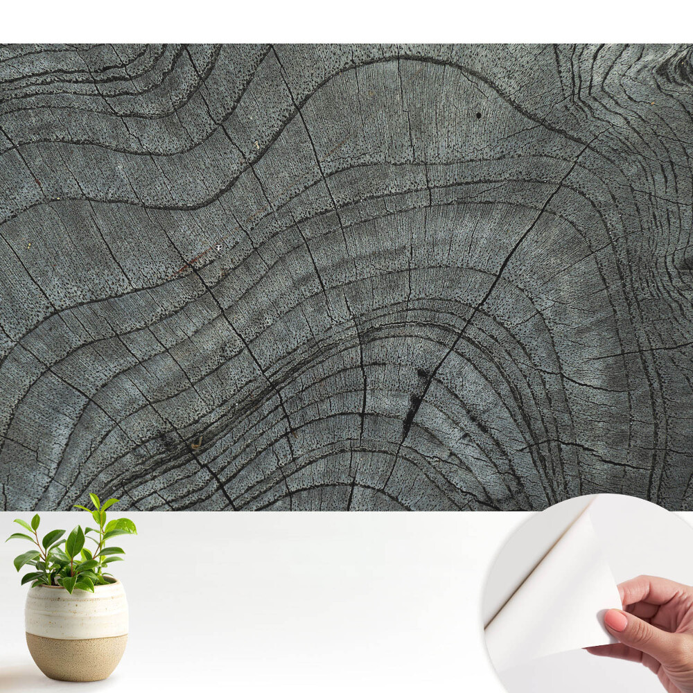 Tapeta Rustikální symetrie dřeva