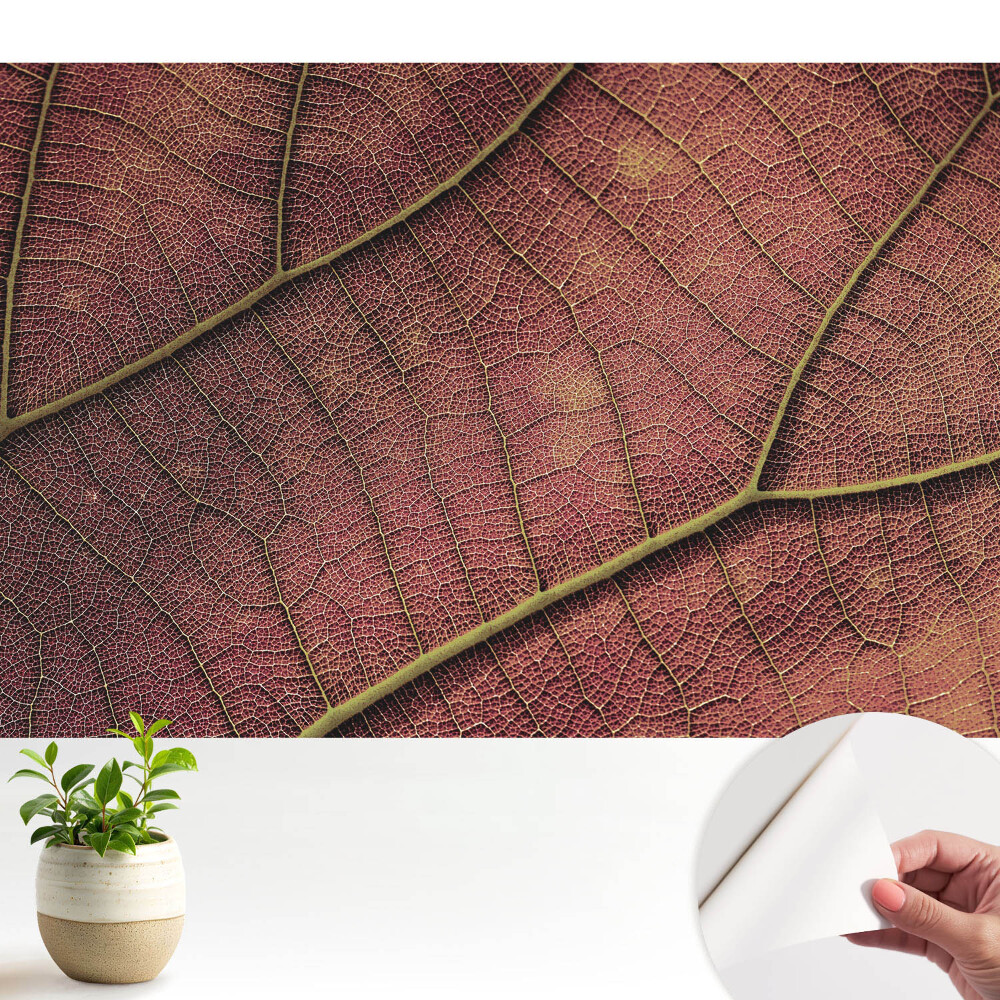 Tapeta Struktura listu je plná detailů a barev