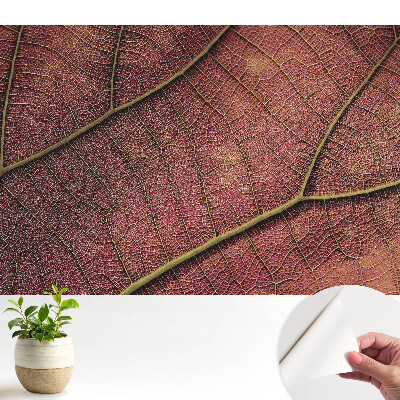 Tapeta Struktura listu je plná detailů a barev